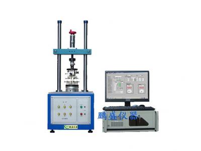 全自动扭力试验机（连电脑操作）